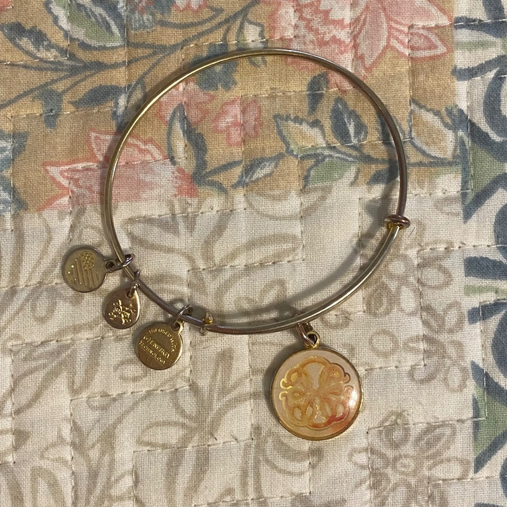 Alex and Ani Colored Path of Life Bangle Bracelet